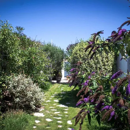Ecological In With Private Pool Villa